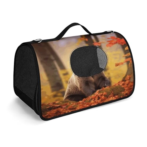 NHYDSPQ Haustier-Handtasche, brauner Bär im Herbst, modische Hundetragetasche für Katzen und kleine Hunde, jede Reise und Outdoor-Aktivität, 45 x 26 x 23,5 cm, Stil von NHYDSPQ