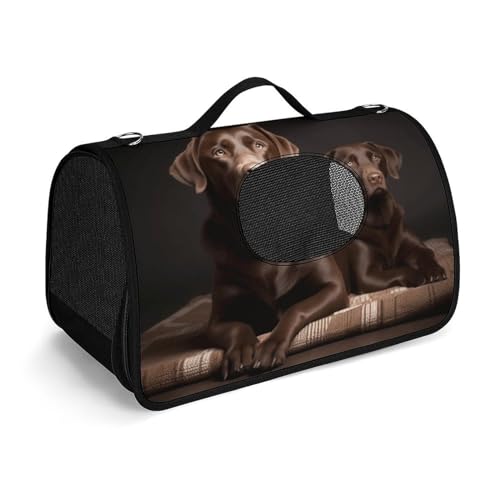 NHYDSPQ Haustier-Handtasche, brauner Labrador-Retriever-Druck, modische Hundetragetasche für Katzen und kleine Hunde, jede Reise und Outdoor-Aktivität, 45 x 26 x 23,5 cm, Stil von NHYDSPQ