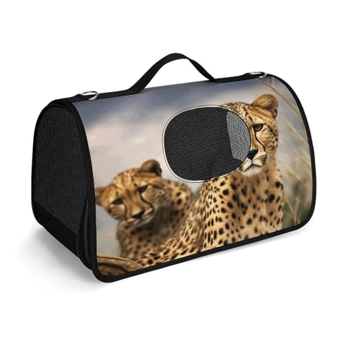 NHYDSPQ Haustier-Handtasche, coole Haustier-Handtasche, modische Tragetasche für Katzen und kleine Hunde, jede Reise und Outdoor-Aktivität, 45 x 26 x 23,5 cm, Stil von NHYDSPQ