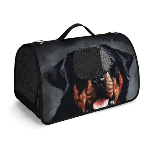 NHYDSPQ Haustier-Handtasche, cooler Rottweiler-Hunde-Kunstdruck, modische Hundetragetasche für Katzen und Samll-Hunde, jede Reise und Outdoor-Aktivität, 45 x 26 x 23,5 cm, Stil von NHYDSPQ