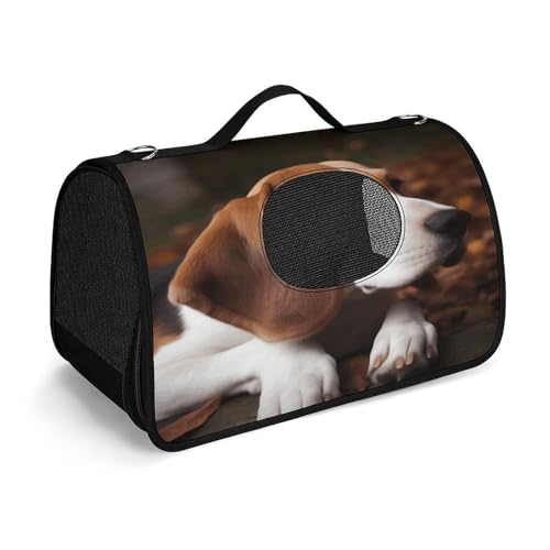 NHYDSPQ Haustier-Handtasche, niedlicher Beagle-Druck, modische Hundetragetasche für Katzen und kleine Hunde, jede Reise und Outdoor-Aktivität, 45 x 26 x 23,5 cm, Stil von NHYDSPQ