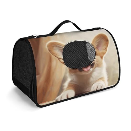 NHYDSPQ Haustier-Handtasche, niedlicher Corgi-Druck, modische Hundetragetasche für Katzen und kleine Hunde, jede Reise und Outdoor-Aktivität, 45 x 26 x 23,5 cm, Stil von NHYDSPQ