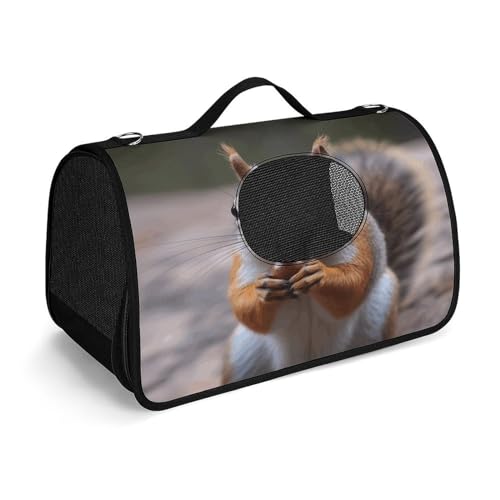 NHYDSPQ Haustier-Handtasche, niedlicher Eichhörnchen-Druck, modische Hundetragetasche für Katzen und kleine Hunde, jede Reise und Outdoor-Aktivität, 45 x 26 x 23,5 cm, Stil von NHYDSPQ