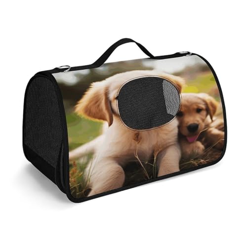 NHYDSPQ Haustier-Handtasche, niedlicher Golden Retriever-Welpen-Druck, modische Hundetragetasche für Katzen und kleine Hunde, jede Reise und Outdoor-Aktivität, 45 x 26 x 23,5 cm, Stil von NHYDSPQ