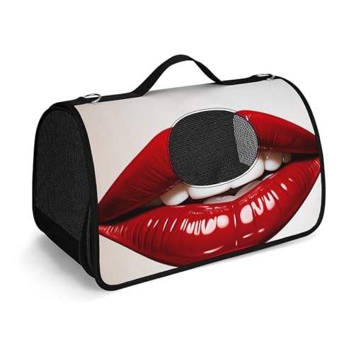 NHYDSPQ Haustier-Handtasche, niedlicher Grafik, rote Lippen, modische Hundetragetasche für Katzen und kleine Hunde, jede Reise und Outdoor-Aktivität, 45 x 26 x 23,5 cm, Stil von NHYDSPQ