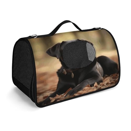 NHYDSPQ Haustier-Handtasche, niedlicher Labrador-Hunde-Druck, modische Hundetragetasche für Katzen und kleine Hunde, jede Reise und Outdoor-Aktivität, 45 x 26 x 23,5 cm, Stil von NHYDSPQ