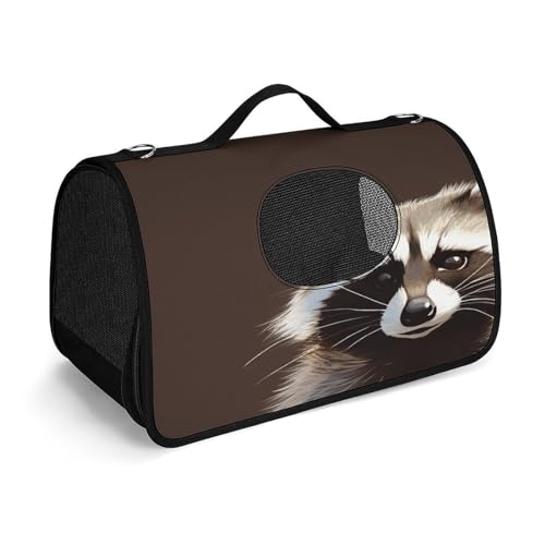 NHYDSPQ Haustier-Handtasche, niedlicher Waschbär-Druck, modische Hundetragetasche für Katzen und kleine Hunde, jede Reise und Outdoor-Aktivität, 45 x 26 x 23,5 cm, Stil von NHYDSPQ