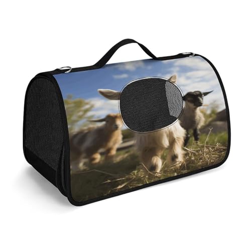 NHYDSPQ Haustier-Handtasche, niedlicher Ziegen-Druck, modische Hundetragetasche für Katzen und kleine Hunde, jede Reise und Outdoor-Aktivität, 45 x 26 x 23,5 cm, Stil von NHYDSPQ