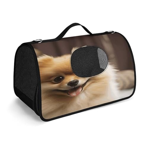 NHYDSPQ Haustier-Handtasche, niedlicher Zwergspitz-Druck, modische Hundetragetasche für Katzen und kleine Hunde, jede Reise und Outdoor-Aktivität, 45 x 26 x 23,5 cm, Stil von NHYDSPQ