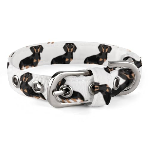 NHYDSPQ Hundehalsband mit Dackel-Motiv, personalisierbar, für kleine und mittelgroße Hunde, verstellbare Größen, Stil von NHYDSPQ