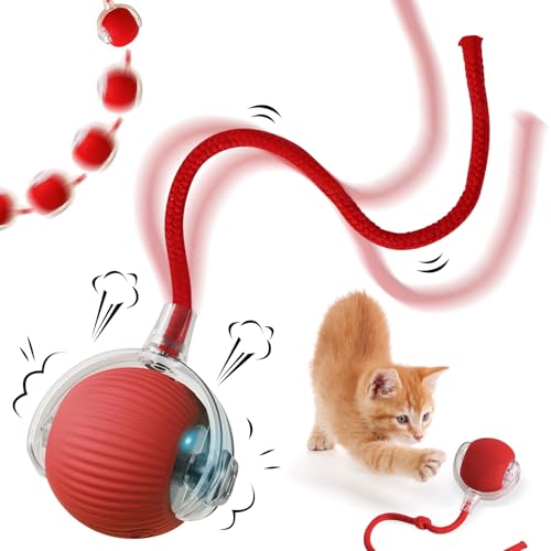 NHYDZSZ Interaktives Katzenspielzeug Katzenball, Katzenspielzeug Elektrisch mit USB Aufladbar, DREI Arbeitsmodi, 360° Rolling Smart Ball FüR Katzen Und Hunde, katzenspielzeug fü Katzen Und Hunde von NHYDZSZ