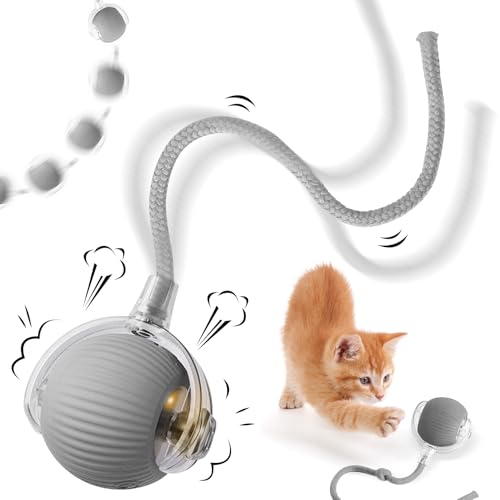 NHYDZSZ Interaktives Katzenspielzeug Katzenball, Katzenspielzeug Elektrisch mit USB Aufladbar, Katzenspielzeug Selbstbeschäftigung, DREI Arbeitsmodi, 360° Rolling Smart Ball für Katzen (Grau) von NHYDZSZ