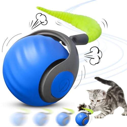 NHYDZSZ Speedy Tail Katzenspielzeug, interaktives katzenspielzeug, Katzenspielzeug Elektrisch mit USB, Automatischer 360 Grad Rollbal Katzenball Elektrisch, Katzenspielzeug für Wohnungskatzen (Blau) von NHYDZSZ