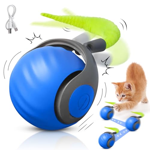 NHYDZSZ Speedy Tail Katzenspielzeug, interaktives katzenspielzeug, Katzenspielzeug Elektrisch mit USB, Automatischer 360 Grad Rollbal Katzenball Elektrisch, Katzenspielzeug für Wohnungskatzen (Blau) von NHYDZSZ