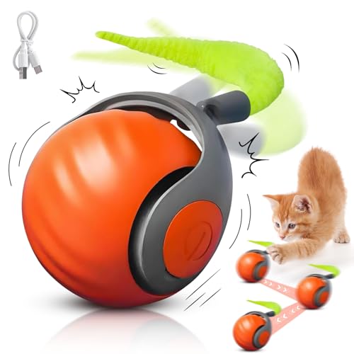 Speedy Tail Katzenspielzeug, interaktives katzenspielzeug, Katzenspielzeug Elektrisch mit USB, Automatischer 360 Grad Rollbal Katzenball Elektrisch, Katzenspielzeug für Wohnungskatzen (Orange) von NHYDZSZ