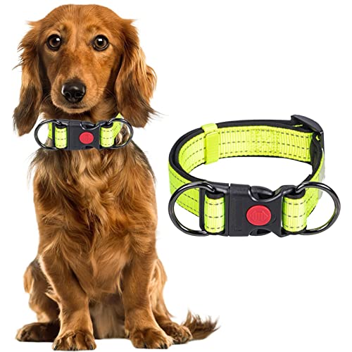 NICERAM Verstellbare Hundehalsbänder,Reflektierendes Hundehalsband mit Schnalle - Verstellbare Sicherheitshalsbänder aus Nylon für kleine und mittelgroße Hunde, im Dunkeln Leuchtend von NICERAM