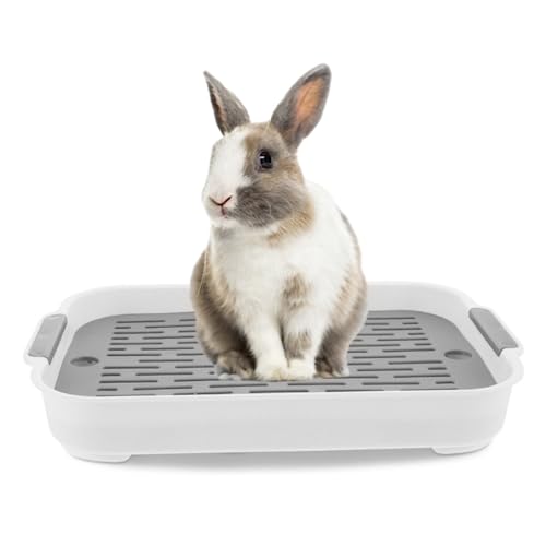 Kaninchenstrauder Tablett 2 Tier Rabbit Müllbox Rechteck rechteckige Hasen Pier -Toiletten -Meerschweinchen -Müllschaler Töpfchen -Töpfchen Forbunny Frettchen Hamster Hedgehog Weiß L 9.7x14.4x2 von NIDONE