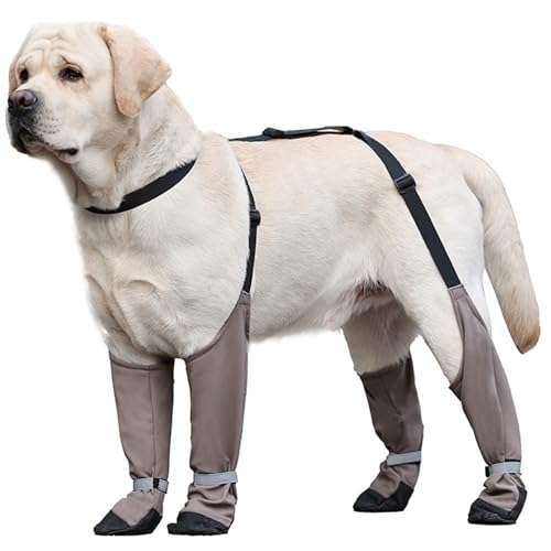 Wasserdichte Hundeschuhe Anti-Rutschhund-Schuhe reflektierende Hundefälle und Pfotenschutz mit einstellbaren Trägern Hundestiefel für heißes Pflaster, Wandern, Regen- und Schneetage, XL, Hunderegenst von NIDONE