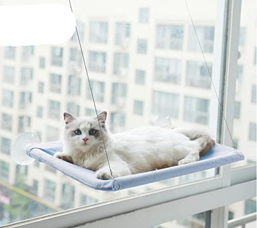 NIQIU Katzenhängematte Hängende Betten Bequemer Sitz Fenster Haustier Hängematte Weiche Haustier Regal Sitz Schlafen Betten Abnehmbare Heimtierbedarf-Blau,China von NIQIU