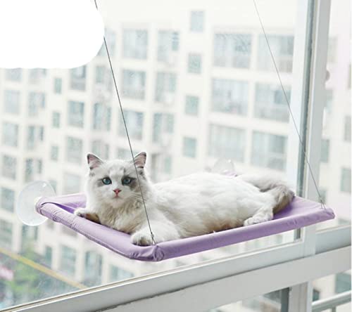 NIQIU Katzenhängematte Hängende Betten Bequemer Sitz Fenster Haustier Hängematte Weiche Haustier Regal Sitz Schlafen Betten Abnehmbare Heimtierbedarf-Lila,China von NIQIU