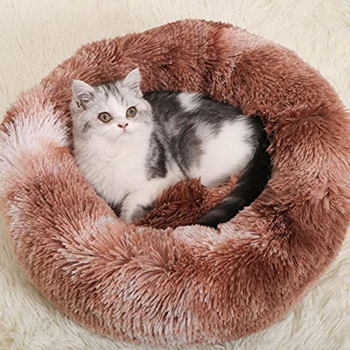 NIQIU Lange Plüsch Flauschige Haustier Hundebett Claming Katzenbetten Donut Runde Bank Weiche Warme Chihuahua Kennel Große Matte Kissen Heimtierbedarf-Farbe 7,35x35x15cm,Deutschland von NIQIU