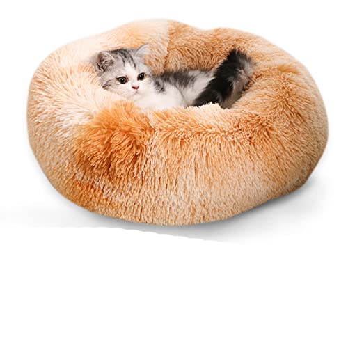 NIQIU Super Weiches Langes Plüsch Katzenbett Haustier Matte Haus Hundebett Winter Warm Schlafende Katzen Nest Rundes Katzenkissen Bequeme Haustierbedarf-01 Khaki,XXL 80CM,China von NIQIU