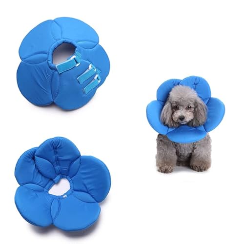 Hundehalsband in Blumenform Anti-Biss-Verletzungshalsband für Hunde Katzen-Erholungshalsband-Blaue Blume,M von NITONAMI