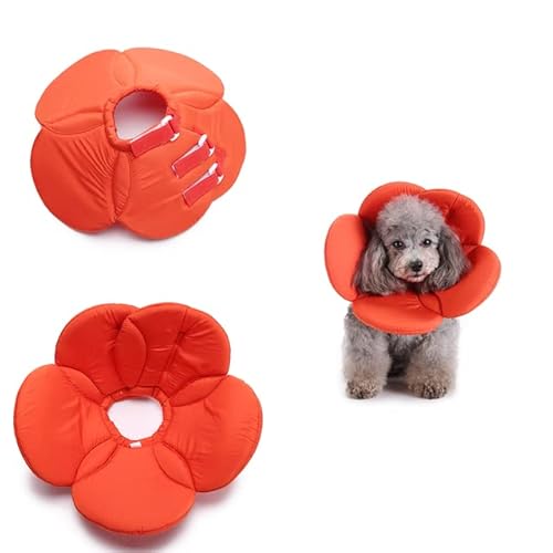 Hundehalsband in Blumenform Anti-Biss-Verletzungshalsband für Hunde Katzen-Erholungshalsband-Orange Flower,L von NITONAMI