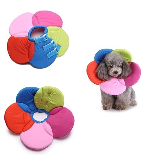 Hundehalsband in Blumenform Anti-Biss-Verletzungshalsband für Hunde Katzen-Erholungshalsband-Rainbow,L von NITONAMI