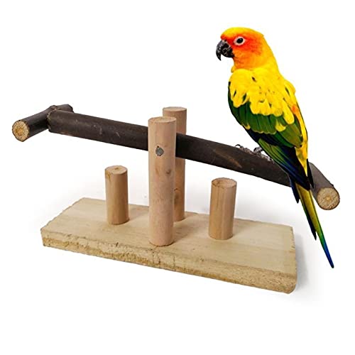 Holz Vogel Spielständer Papagei Spielplatz, Papagei Beißspielzeug Holz Wippe Schaukelstuhl Ständer Bar Schaukel Spielzeug Sittich Nymphensittiche Conures Sitzstangen Spielplatz Heimtierbedarf von NIUSABOU