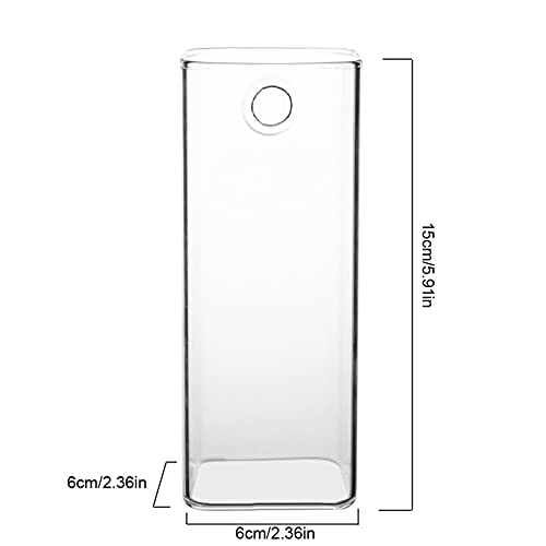 Glasvase, Hängende Pflanzen, Hydrokulturbehälter, Dekoratives Wandaquarium für Zuhause, Büro, Transparent (Verhexen) von NIZUUONE