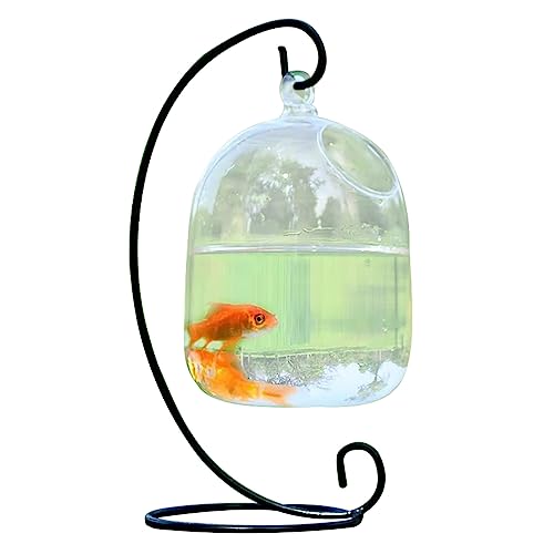 1 Stück Desktop-Hängeglas-Fischschale, Kleine Betta-Fischschale, Hängende Fischschale, Pflanzenvase, Mini-Aquarium mit Ständer, Moderne Fischschale, Tisch-Fischschale für Heim- und(Schwarz) von NLDGR