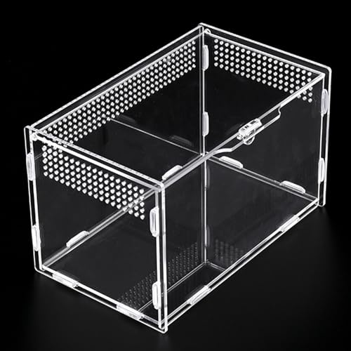 NLONLL Acryl Terrarium Reptile Fütterungsbox Insect Reptilien Box Mini Terrarium Transportbox Acrylic Reptilienzuchtbox Transparent Reptil Zuchtfall für Spinnen, Eidechsen, Schnecken (20×12×12cm) von NLONLL