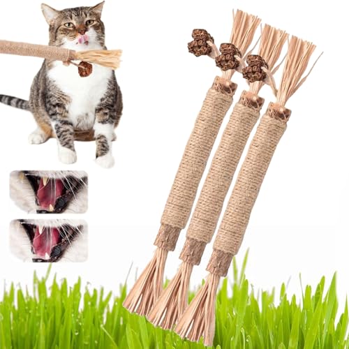 Nylatails Silvervine Dental Stick, Silvervine Cat Dental Sticks für Katzen Nylatails Cat Chew Stick, Matatabi Catnip Sticks Natürliche Katzenkausticks, Appetitanregung, Zahnreinigung (3pcs 1#) von NNBWLMAEE