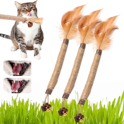 Nylatails Silvervine Dental Stick, Silvervine Cat Dental Sticks für Katzen Nylatails Cat Chew Stick, Matatabi Catnip Sticks Natürliche Katzenkausticks, Appetitanregung, Zahnreinigung (3pcs 2#) von NNBWLMAEE