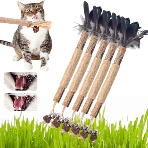 Nylatails Silvervine Dental Stick, Silvervine Cat Dental Sticks für Katzen Nylatails Cat Chew Stick, Matatabi Catnip Sticks Natürliche Katzenkausticks, Appetitanregung, Zahnreinigung (5pcs 3#) von NNBWLMAEE