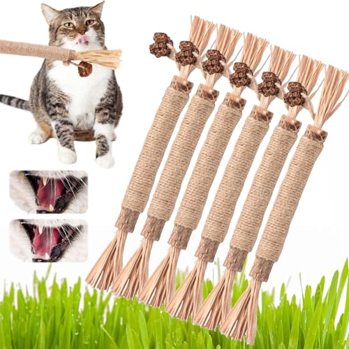 Nylatails Silvervine Dental Stick, Silvervine Cat Dental Sticks für Katzen Nylatails Cat Chew Stick, Matatabi Catnip Sticks Natürliche Katzenkausticks, Appetitanregung, Zahnreinigung (6pcs 1#) von NNBWLMAEE