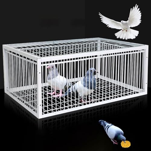 NOBBAT Vogelfallenfänger Vogelfalle Fallenkäfig Vogelfallenfänger Große Vogelfalle Taubenschlagtür für Brieftauben Tauben Papageien Vögel Fenstertür Vogelfang Zuchtbedarf(40x30x26cm) von NOBBAT