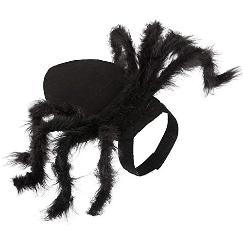 Spinnenkostüm für Halloween-Party-Dekoration, Cosplay-Kostüme für kleine Hunde und Katzen, Welpenverkleidungszubehör, Schwarz (Schwarz) von NOENNULL