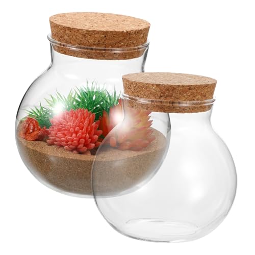 NOLITOY 2stücke Sphärisches Terrarium Glasgefäß Mit Korkverschluss Transparent Für Mikrolandschaften Und Pflanzen-Dekoration -ökosystem NOLITOY 2stücke Sphärisches Terrarium Glasgefäß Mit Korkverschluss Transparent Für Mikrolandschaften Und Pflanzen-Dekoration -ökosystem von NOLITOY