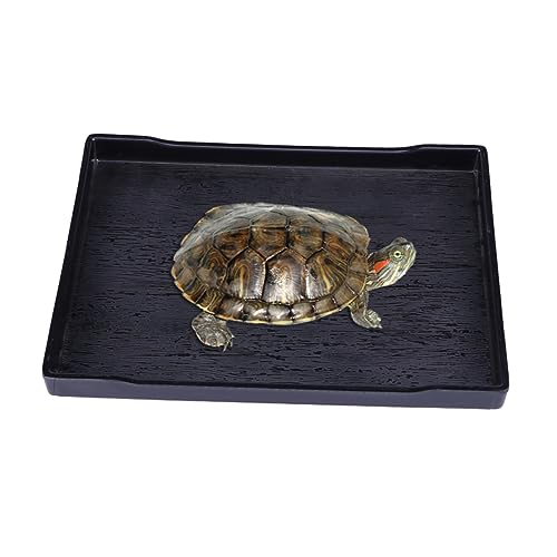NOLITOY Große Reptilien Futter und Wasserschale für Schildkröten Badebecken für Haustiere Schwarz Groß mit Rutschfester Oberfläche Einfach zu Reinigen für Fressen Trinken und Baden NOLITOY Große Reptilien Futter und Wasserschale für Schildkröten Badebecken für Haustiere Schwarz Groß mit Rutschfester Oberfläche Einfach zu Reinigen für Fressen Trinken und Baden von NOLITOY