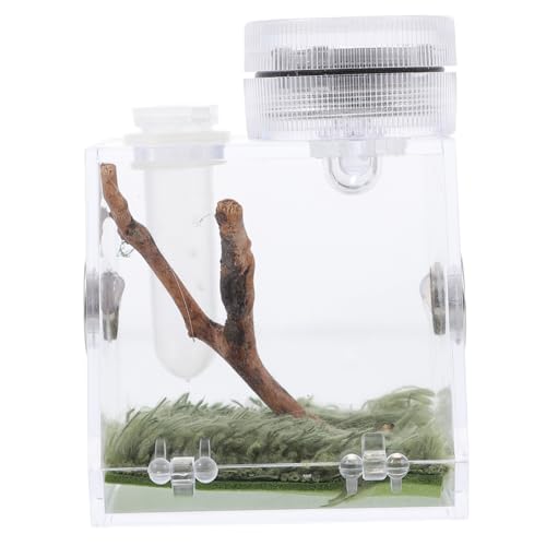 NOLITOY Hochtransparente Spinnen Habitat Box mit Lampe für Springende Spinnen Mini Lampe und Fütterungsöffnung für Terrarien und Insektenaufzucht NOLITOY Hochtransparente Spinnen Habitat Box mit Lampe für Springende Spinnen Mini Lampe und Fütterungsöffnung für Terrarien und Insektenaufzucht von NOLITOY