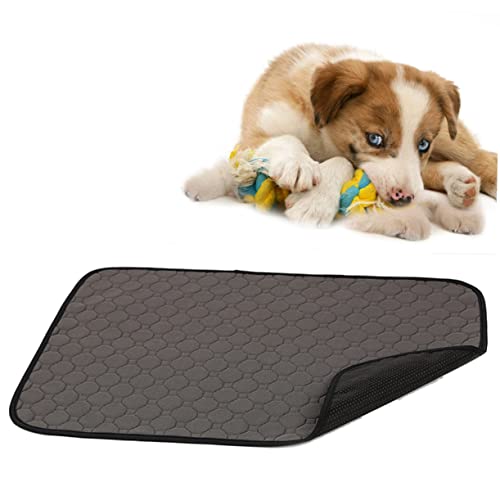 NOLITOY Kissensitz Welpen Pads Hund Katze Pee Pad Hündchen Matte von NOLITOY