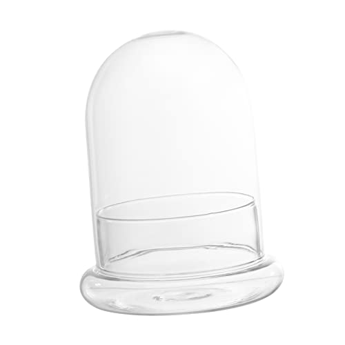 NOLITOY Ökologische Flasche Moss Flasche Mit Mikrolandschaft Miniatur Pflanzenterrariengläser Dekoration Terrariengefäße Für Pflanzen Gewölbt Moosglas Borosilikatglas Transparent NOLITOY Ökologische Flasche Moss Flasche Mit Mikrolandschaft Miniatur Pflanzenterrariengläser Dekoration Terrariengefäße Für Pflanzen Gewölbt Moosglas Borosilikatglas Transparent von NOLITOY