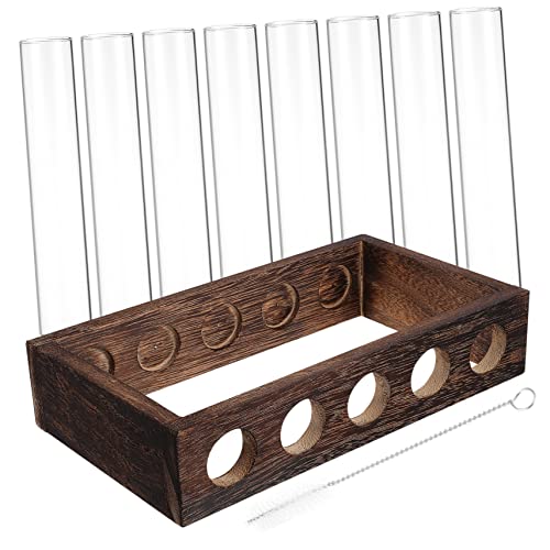 NOLITOY Pflanzen Terrarium mit Reagenzgläsern Wandbehang zur Pflanzenvermehrung für Heimdekoration und Tischdeko Holzrahmen mit Klarglasröhren und Reinigungsbürste NOLITOY Pflanzen Terrarium mit Reagenzgläsern Wandbehang zur Pflanzenvermehrung für Heimdekoration und Tischdeko Holzrahmen mit Klarglasröhren und Reinigungsbürste von NOLITOY