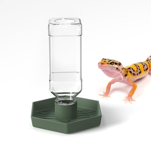 Reptilien-Wasserspender, 250 ml, Bartdrachen-Wassernapf – kleine Wasserschale für Schildkröten – Schalen für Reptilien und Amphibien (S) von NOMOY