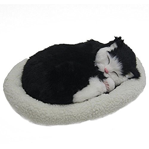 NONDK Spielzeug für Haustiere, zum Atmen und Schlafen, mit Bett aus Wolle, Schwarz von NONDK