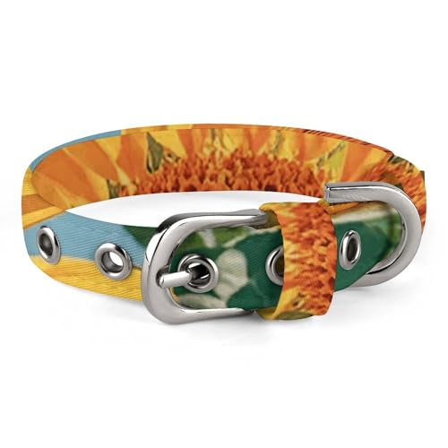 Goodlooking Hello Nice Sunshines Hundehalsband mit Schnalle, niedliche Haustier-Halskette, verstellbar, Sicherheitshalsband für kleine Hunde, mittelgroße Hunde, breites Hundehalsband von NONHAI