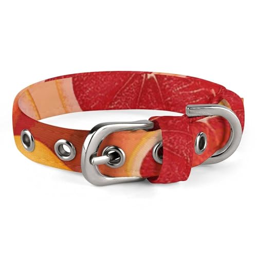 Grapefruit-Scheiben Hundehalsband mit Schnalle, niedliche Haustier-Halskette, verstellbar, Sicherheitshalsband für kleine Hunde, mittelgroße Hunde, breites Hundehalsband von NONHAI