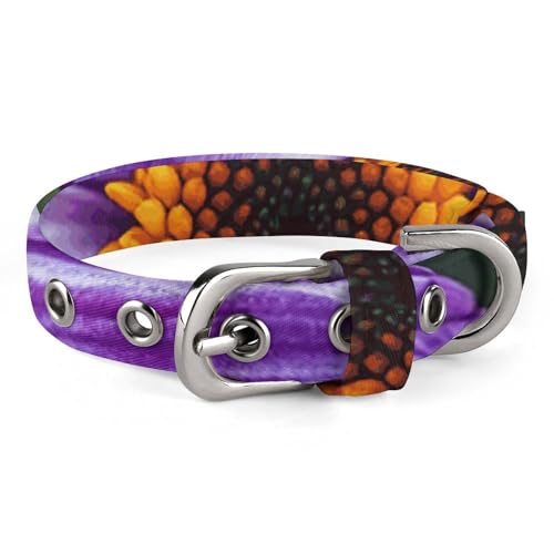 Hundehalsband mit Batikmuster, mit Schnalle, niedliche Haustier-Halskette, verstellbar, Sicherheitshalsband für kleine und mittelgroße Hunde, breites Hundehalsband von NONHAI